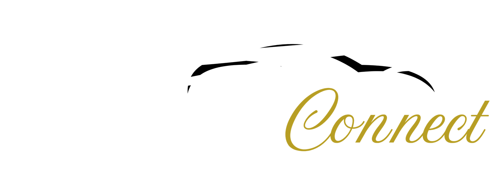 Black and Red Car Animated Logo
