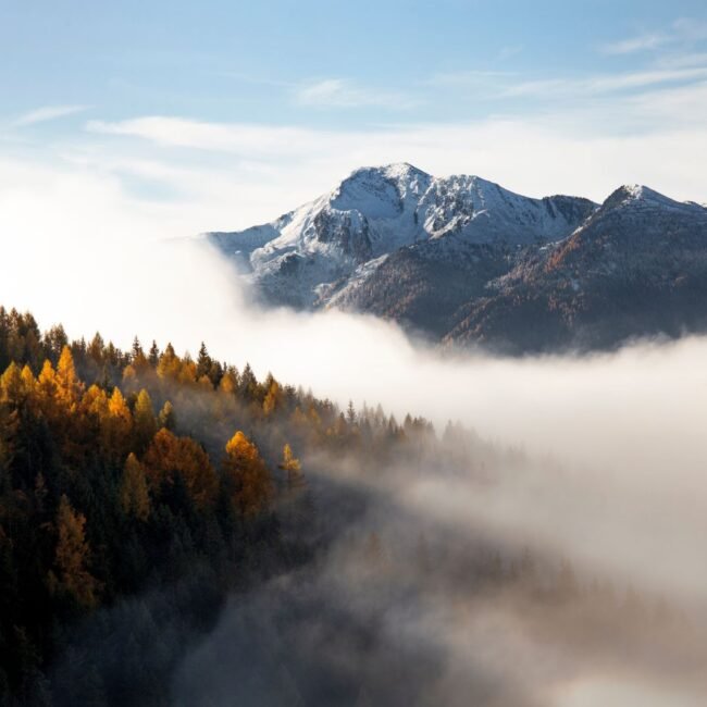 Mountain view with golden autumn trees