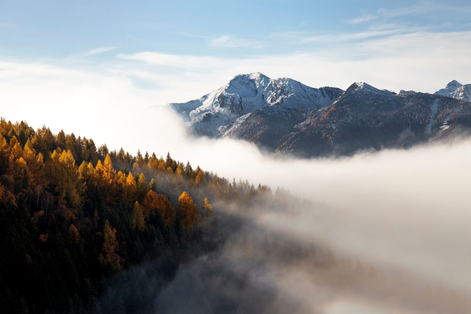 Mountain view with golden autumn trees